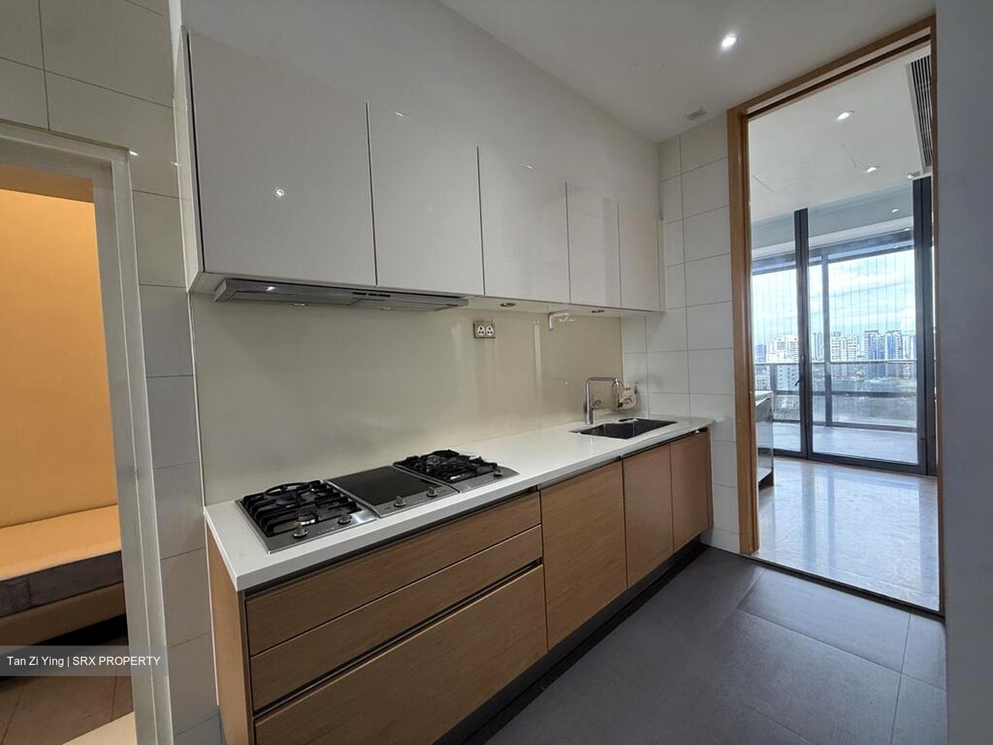 Nouvel 18 (D10), Condominium #496442001
